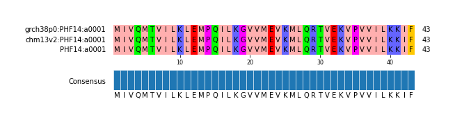 Multiple Alignments (by translate haplotype similarity)