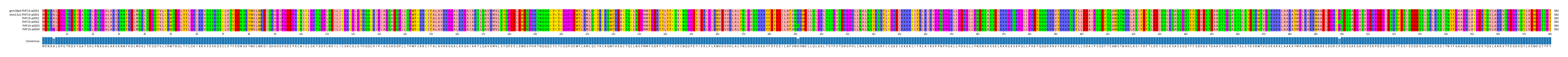 Multiple Alignments (by translate haplotype frequency)