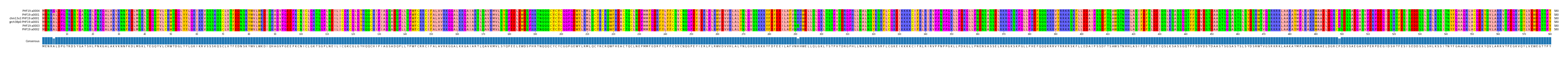 Multiple Alignments (by translate haplotype similarity)
