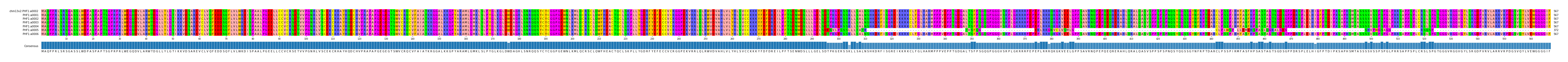 Multiple Alignments (by translate haplotype frequency)