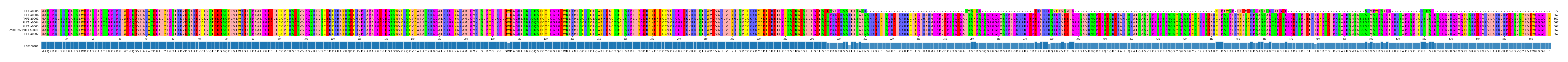 Multiple Alignments (by translate haplotype similarity)
