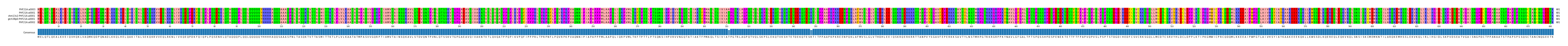 Multiple Alignments (by translate haplotype similarity)