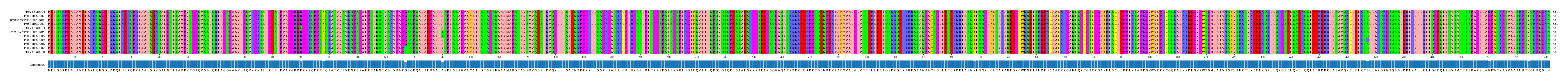 Multiple Alignments (by translate haplotype similarity)