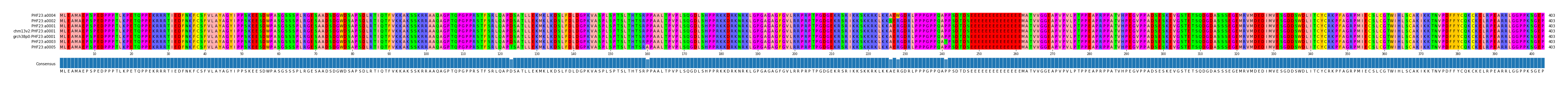Multiple Alignments (by translate haplotype similarity)