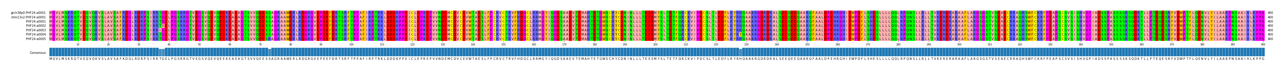 Multiple Alignments (by translate haplotype frequency)