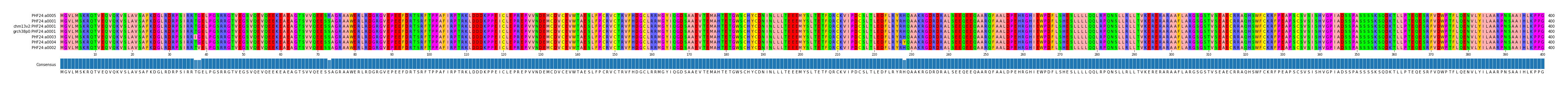 Multiple Alignments (by translate haplotype similarity)