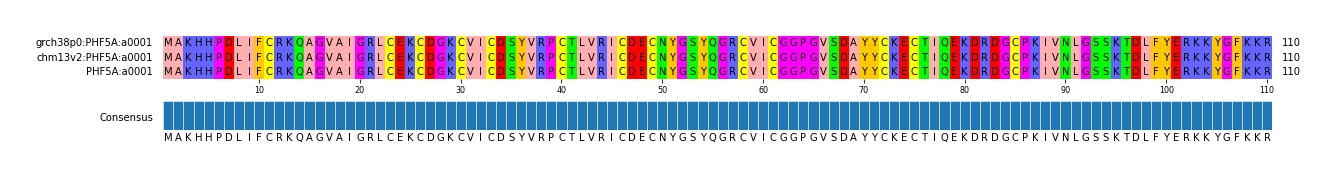 Multiple Alignments (by translate haplotype similarity)