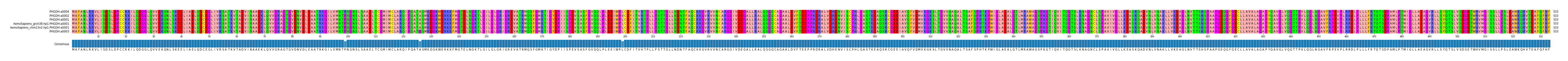 Multiple Alignments (by translate haplotype similarity)
