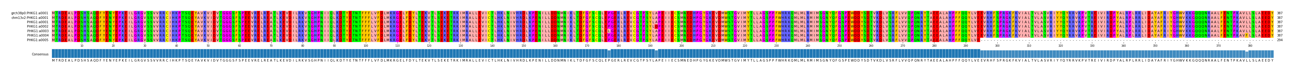 Multiple Alignments (by translate haplotype frequency)