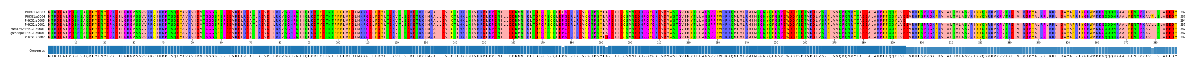 Multiple Alignments (by translate haplotype similarity)
