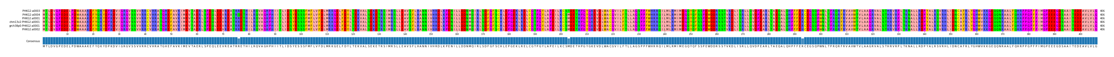 Multiple Alignments (by translate haplotype similarity)