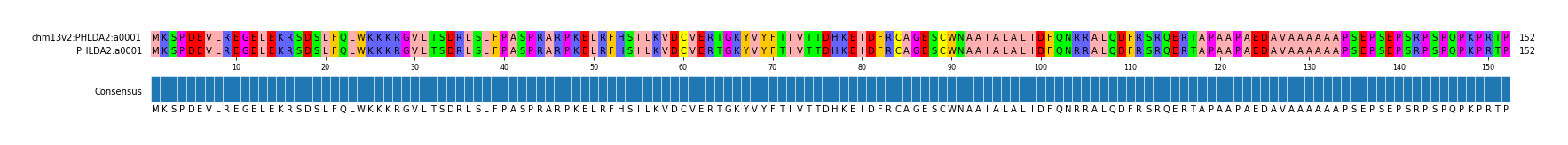 Multiple Alignments (by translate haplotype similarity)