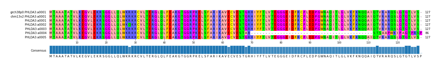Multiple Alignments (by translate haplotype frequency)