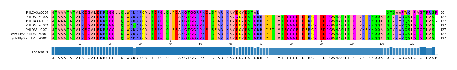 Multiple Alignments (by translate haplotype similarity)