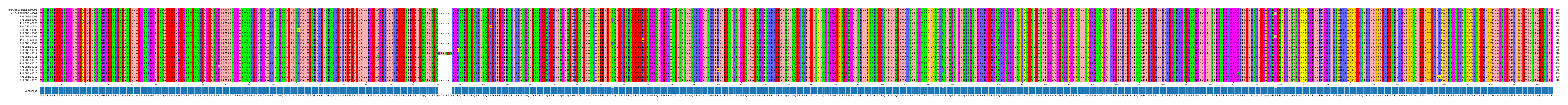 Multiple Alignments (by translate haplotype frequency)