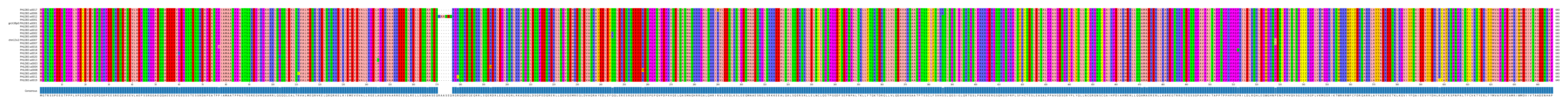 Multiple Alignments (by translate haplotype similarity)