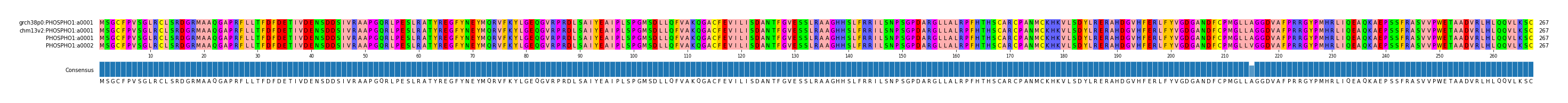 Multiple Alignments (by translate haplotype similarity)