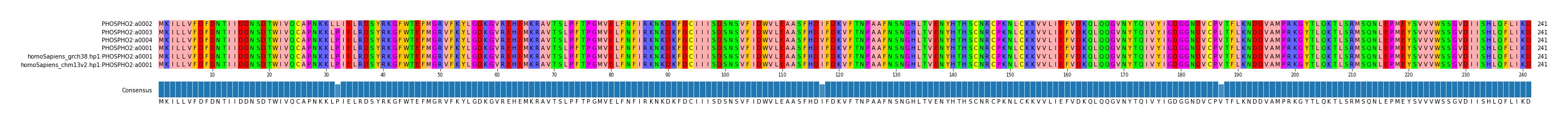 Multiple Alignments (by translate haplotype similarity)