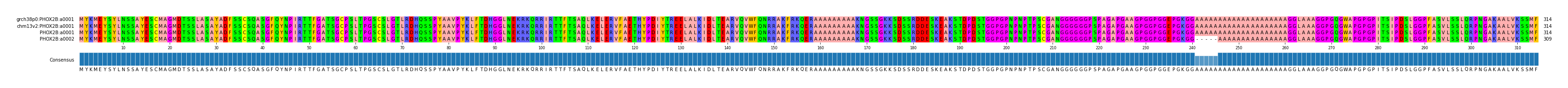 Multiple Alignments (by translate haplotype frequency)