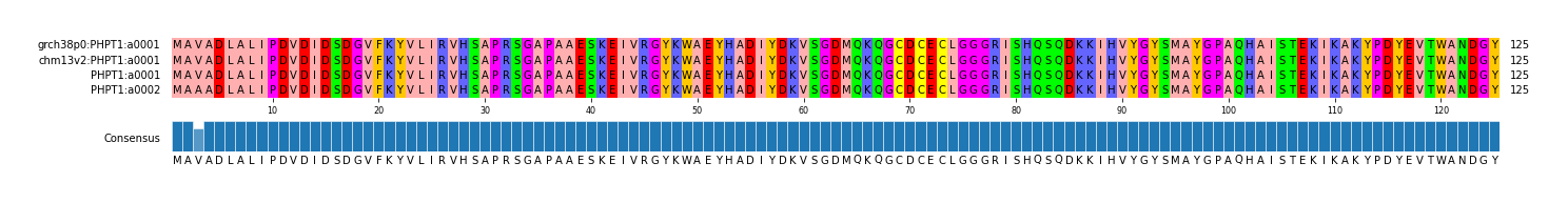 Multiple Alignments (by translate haplotype similarity)