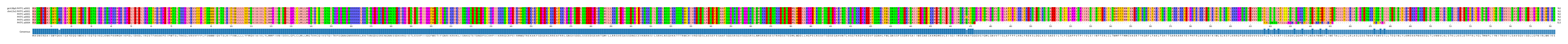Multiple Alignments (by translate haplotype frequency)