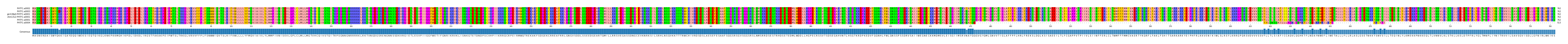 Multiple Alignments (by translate haplotype similarity)
