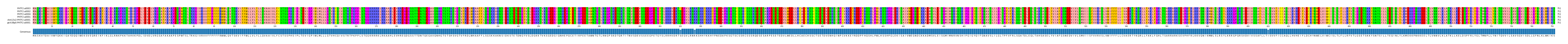 Multiple Alignments (by translate haplotype similarity)