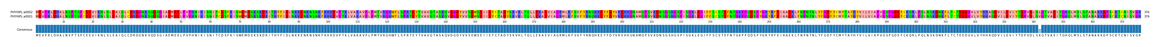 Multiple Alignments (by translate haplotype similarity)