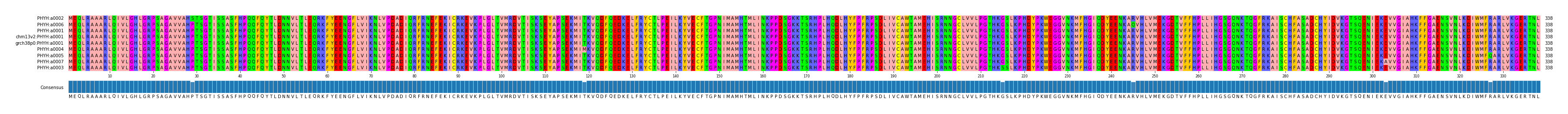 Multiple Alignments (by translate haplotype similarity)
