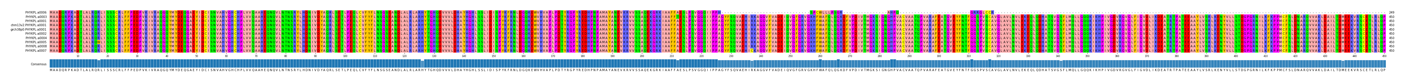 Multiple Alignments (by translate haplotype similarity)