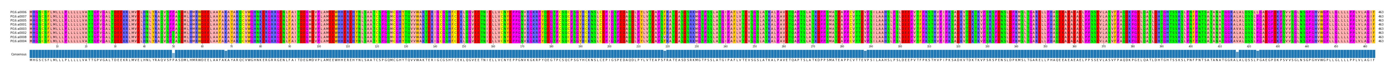 Multiple Alignments (by translate haplotype similarity)