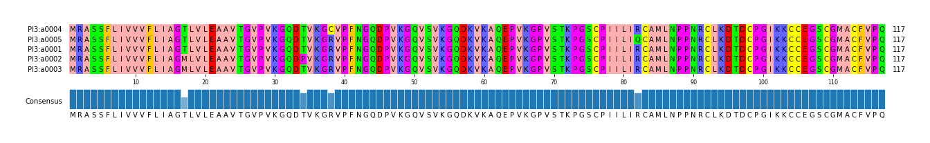 Multiple Alignments (by translate haplotype similarity)