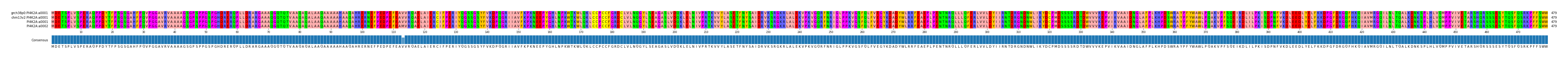 Multiple Alignments (by translate haplotype similarity)