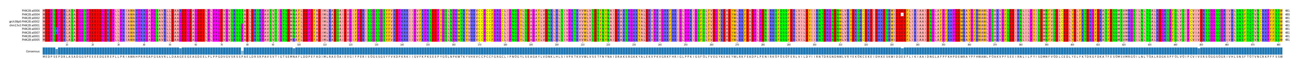 Multiple Alignments (by translate haplotype similarity)