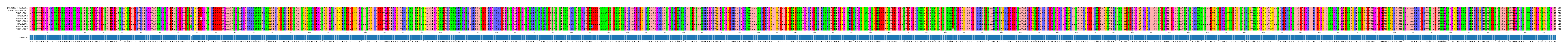 Multiple Alignments (by translate haplotype frequency)