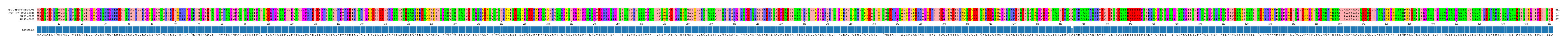 Multiple Alignments (by translate haplotype similarity)