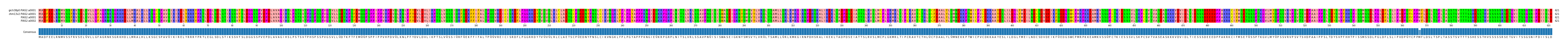 Multiple Alignments (by translate haplotype similarity)