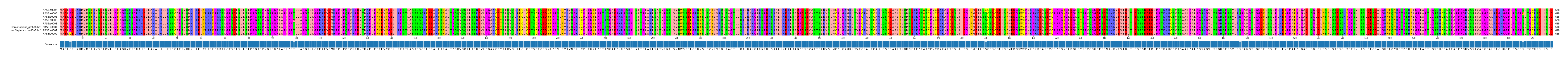 Multiple Alignments (by translate haplotype similarity)