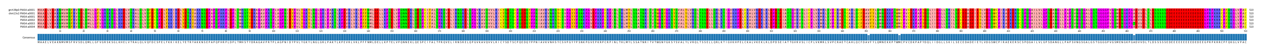 Multiple Alignments (by translate haplotype frequency)