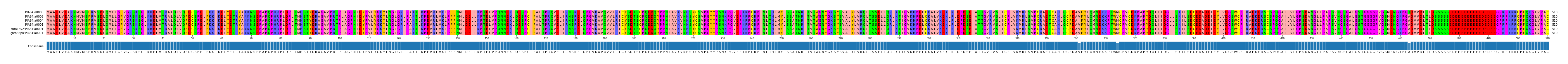 Multiple Alignments (by translate haplotype similarity)