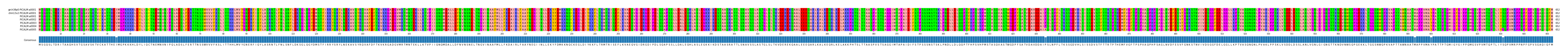 Multiple Alignments (by translate haplotype frequency)