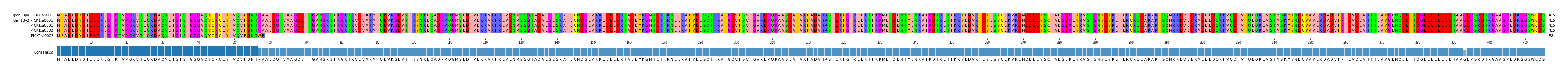 Multiple Alignments (by translate haplotype similarity)