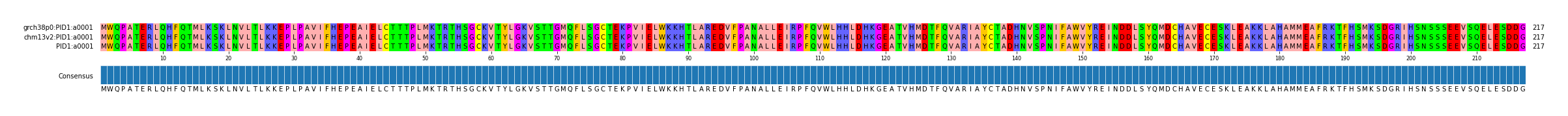 Multiple Alignments (by translate haplotype similarity)