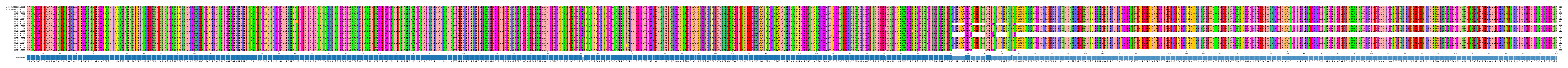 Multiple Alignments (by translate haplotype frequency)