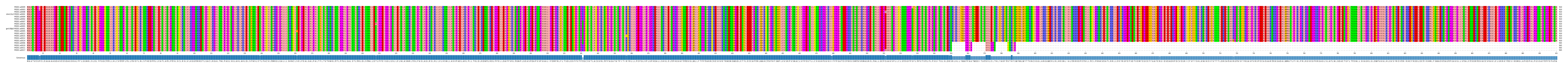 Multiple Alignments (by translate haplotype similarity)
