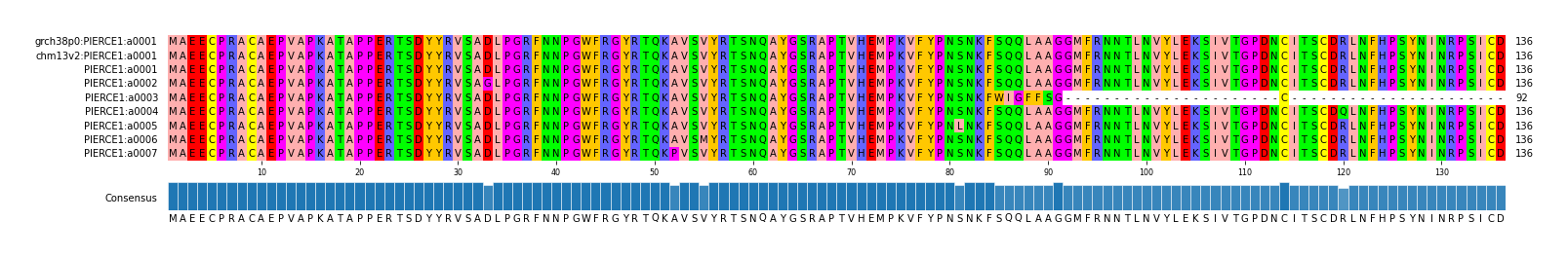 Multiple Alignments (by translate haplotype frequency)