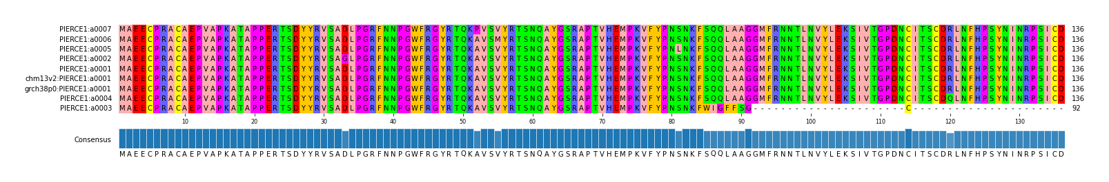 Multiple Alignments (by translate haplotype similarity)