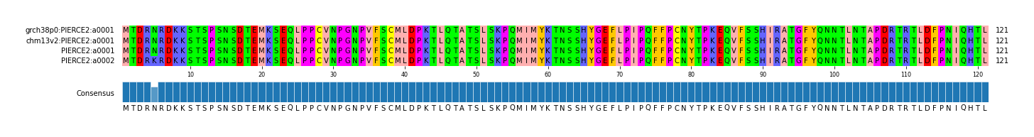 Multiple Alignments (by translate haplotype similarity)