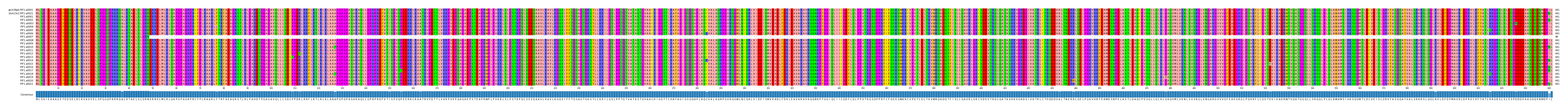 Multiple Alignments (by translate haplotype frequency)