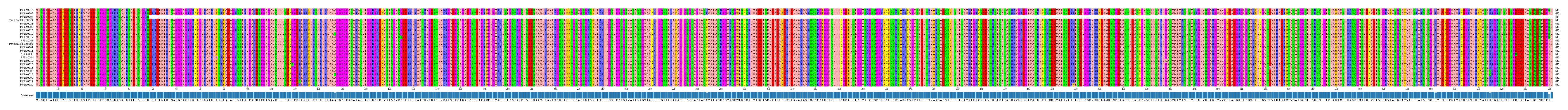 Multiple Alignments (by translate haplotype similarity)